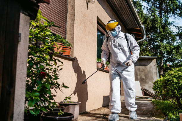 Best Best Pest Control Companies  in Shullsburg, WI