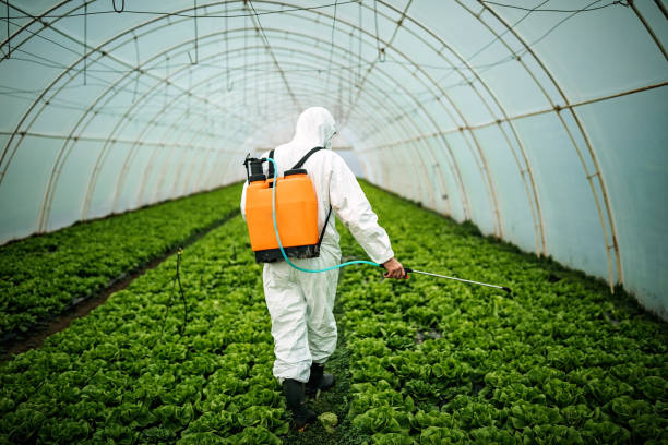 Best Affordable Pest Control Services  in Shullsburg, WI