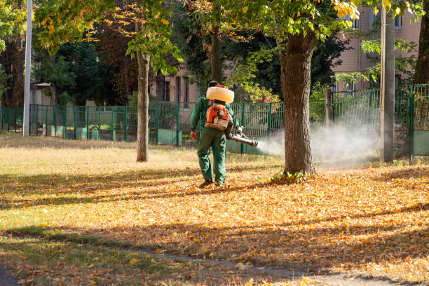 Best Pest Control Near Me  in Shullsburg, WI