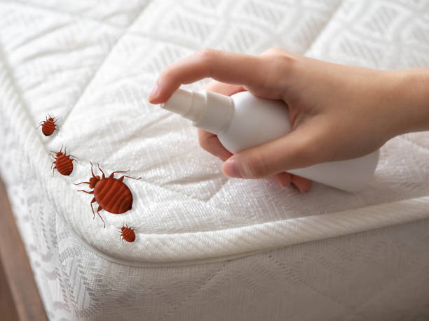 Professional Pest Control in Shullsburg, WI