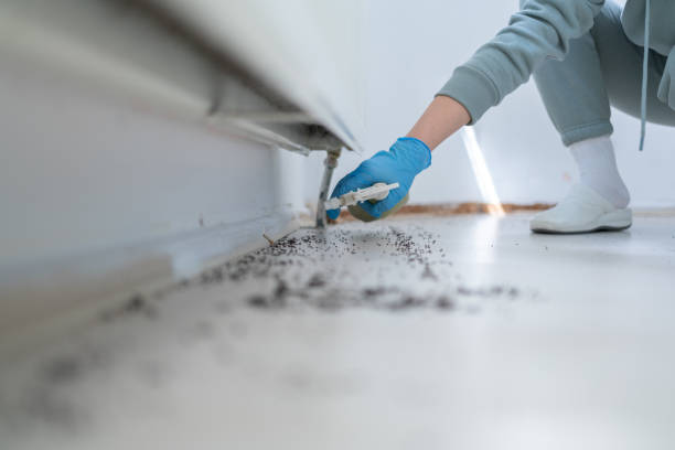 Best Pest Prevention Services  in Shullsburg, WI